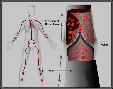 wp9340b9b6.jpg